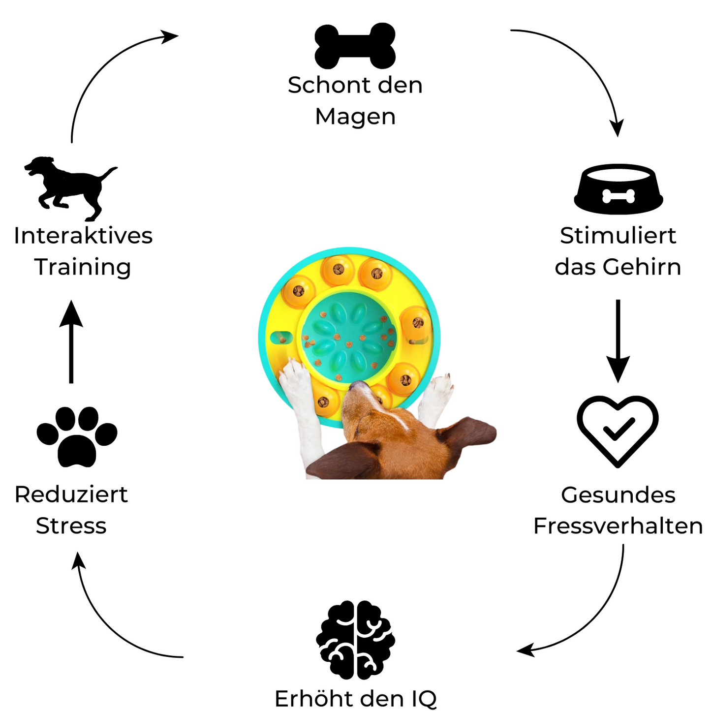Slow-Feeder Puzzle für Hunde - Fitello
