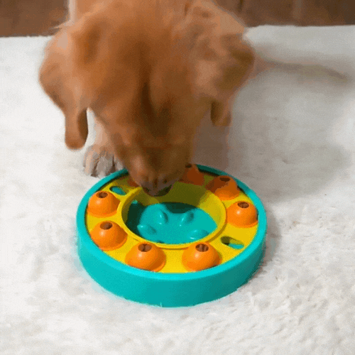 Slow-Feeder Puzzle für Hunde - Fitello