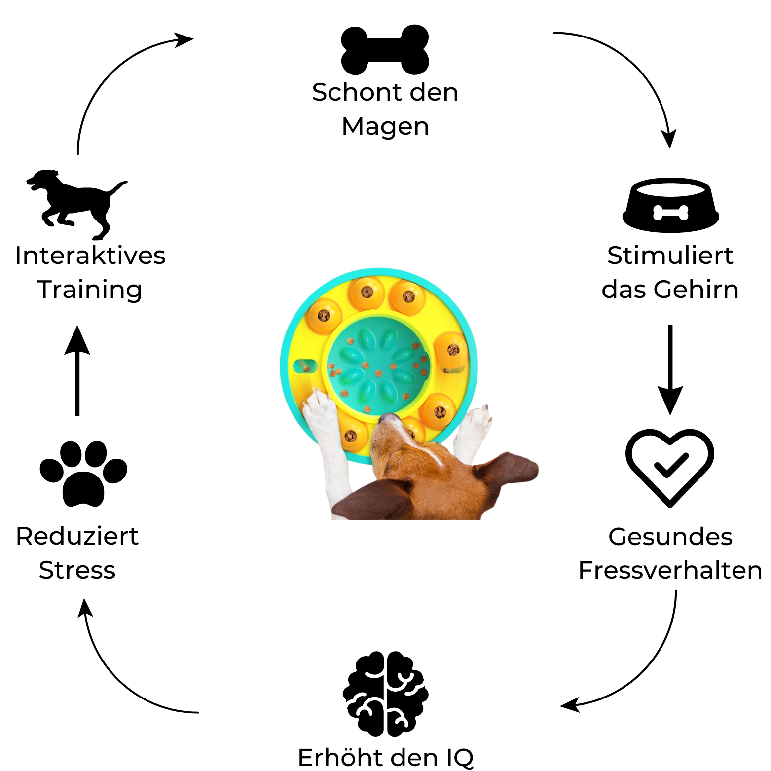 Slow-Feeder Puzzle für Hunde - Fitello