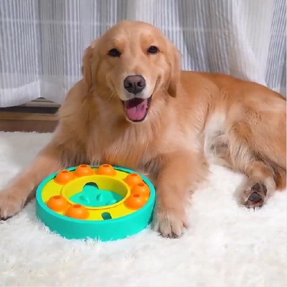 Slow-Feeder Puzzle für Hunde - Fitello
