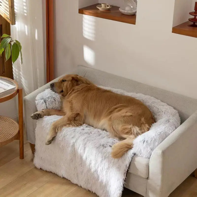 Haustier Kuschelbett - Fitello